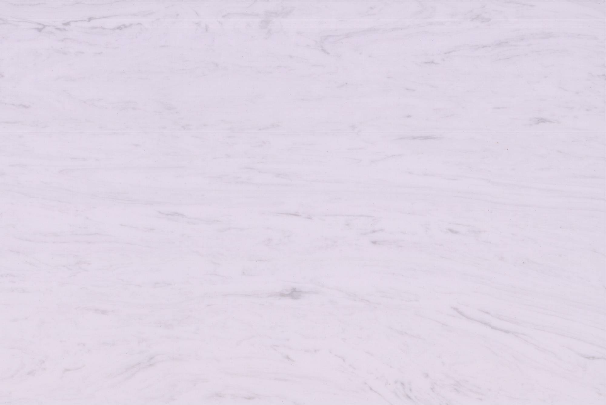 Timeless Exquisite White and Grey Veined Marble for space