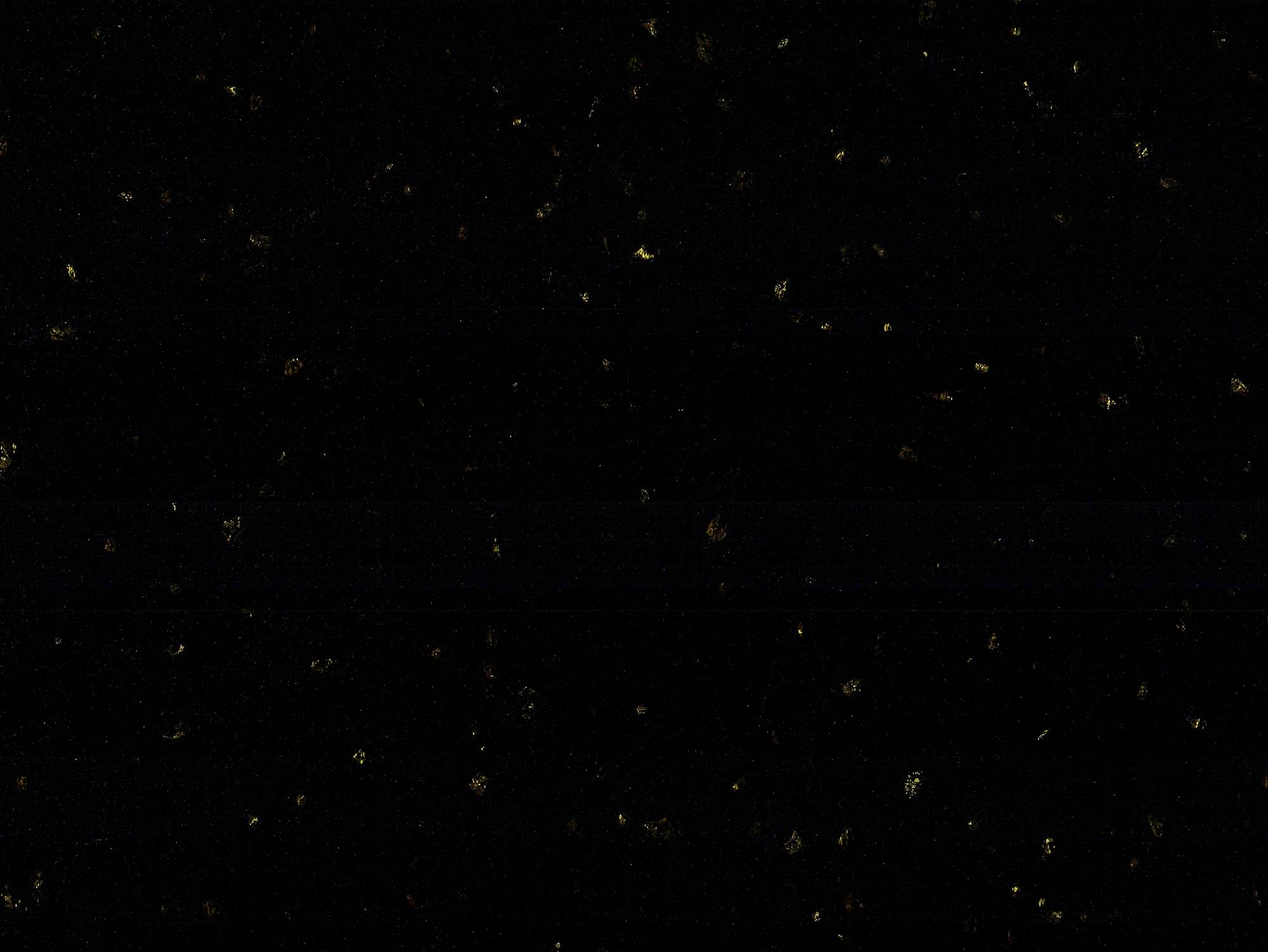 dark black galaxy golden dots artificial marble dark black galaxy golden dots artificial marble