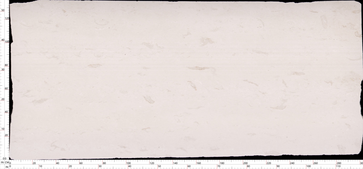 benin-white-limestone-full-slab-scan Full natural Benin White Limestone slab with ruler and irregular raw edges